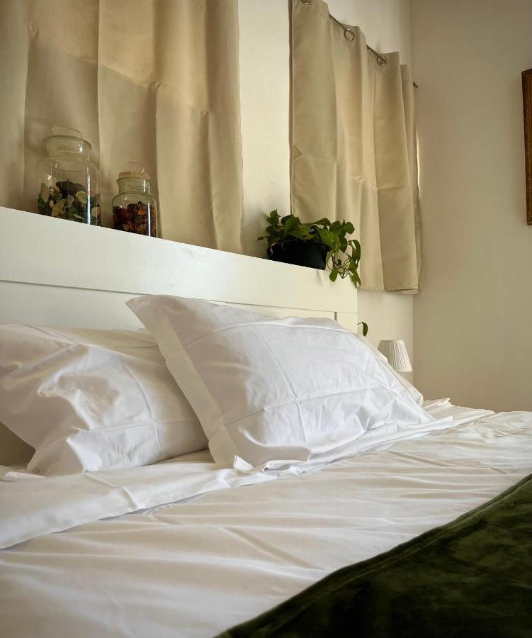 B&B La Fucinaia Pet Friendly Adults Only 캄필리아 마리티마 외부 사진