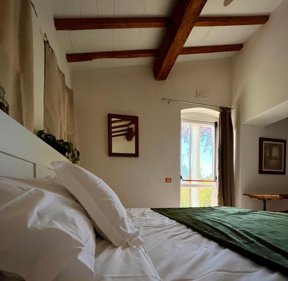 B&B La Fucinaia Pet Friendly Adults Only 캄필리아 마리티마 외부 사진