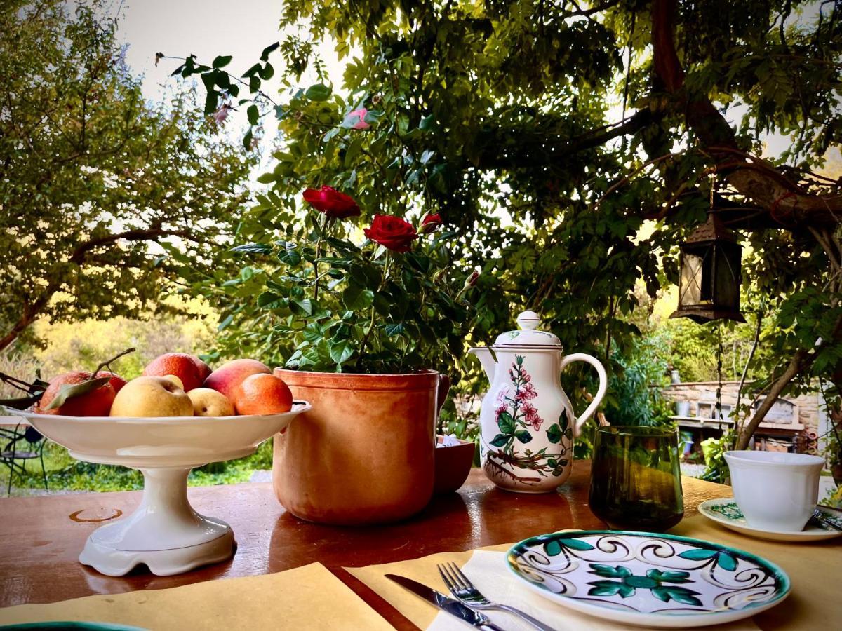 B&B La Fucinaia Pet Friendly Adults Only 캄필리아 마리티마 외부 사진
