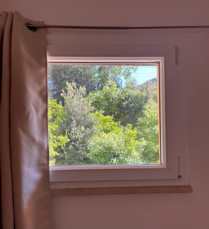 B&B La Fucinaia Pet Friendly Adults Only 캄필리아 마리티마 외부 사진
