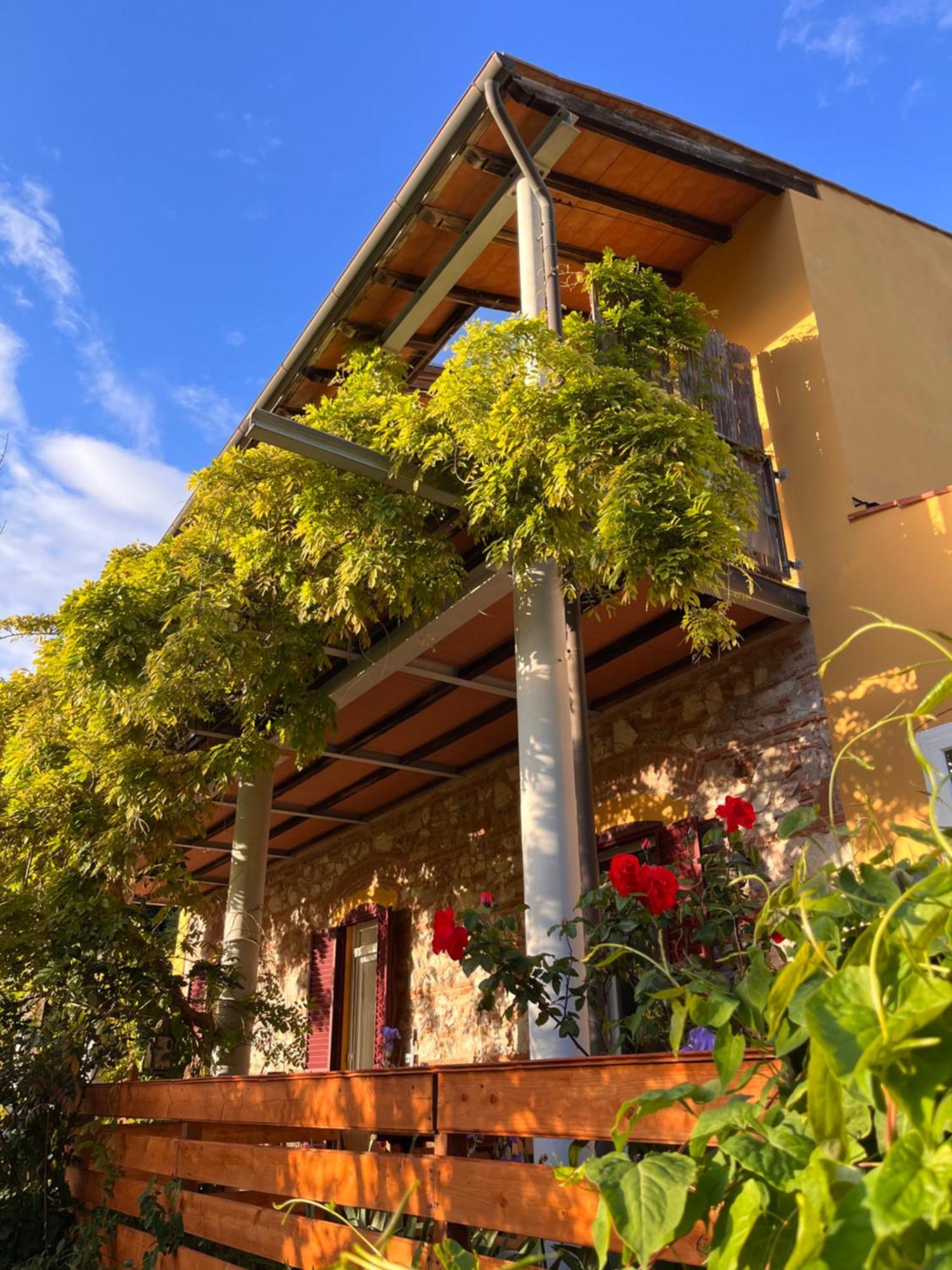 B&B La Fucinaia Pet Friendly Adults Only 캄필리아 마리티마 외부 사진
