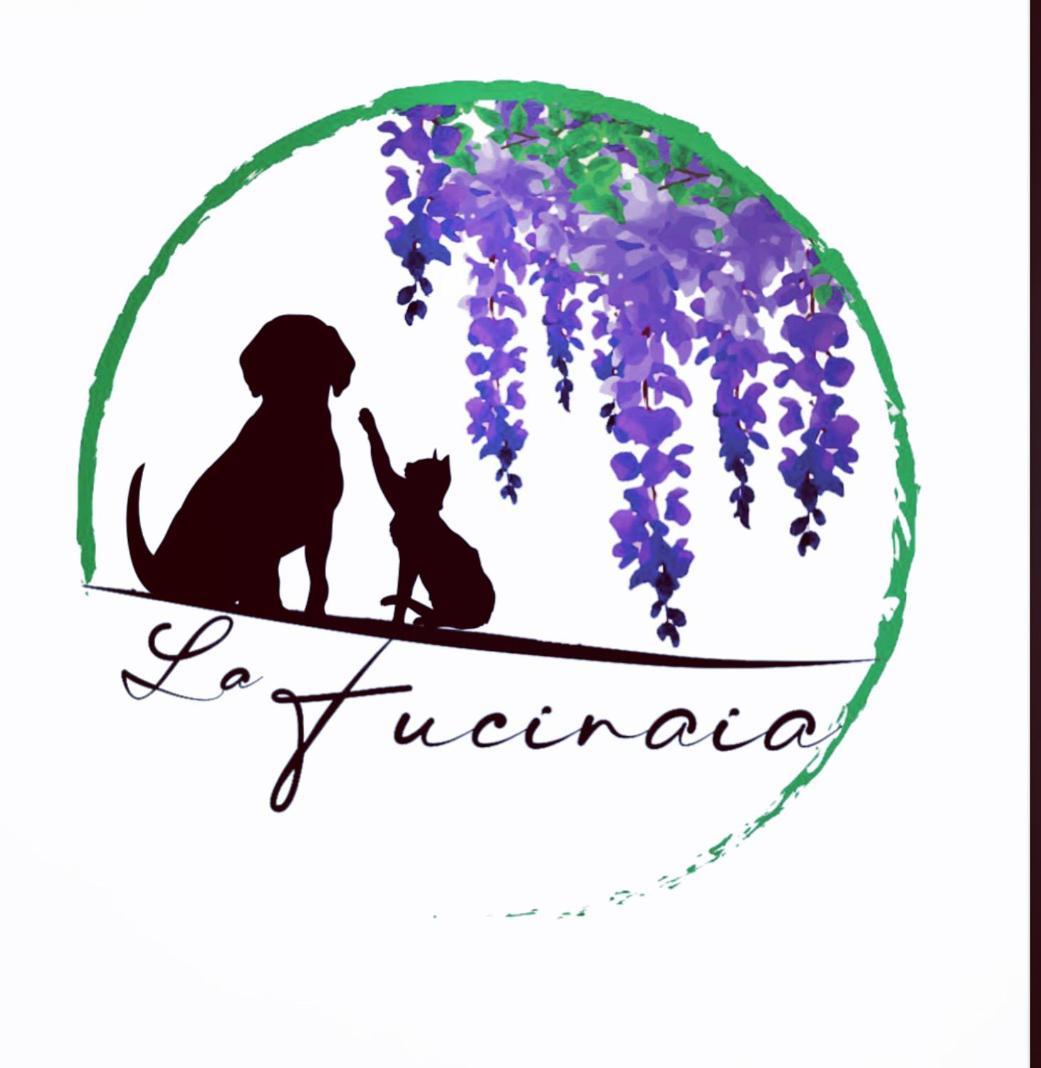 B&B La Fucinaia Pet Friendly Adults Only 캄필리아 마리티마 외부 사진
