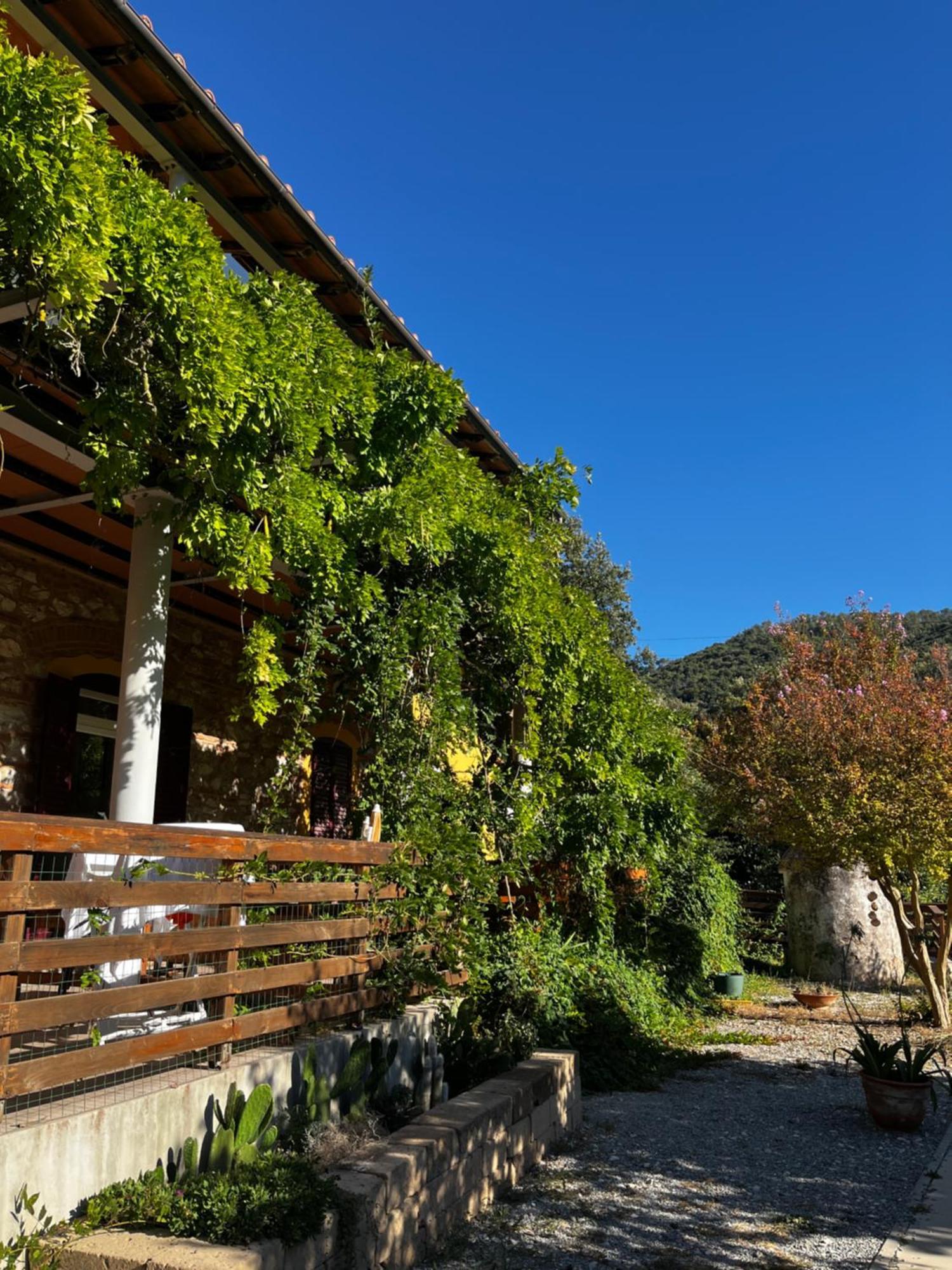 B&B La Fucinaia Pet Friendly Adults Only 캄필리아 마리티마 외부 사진