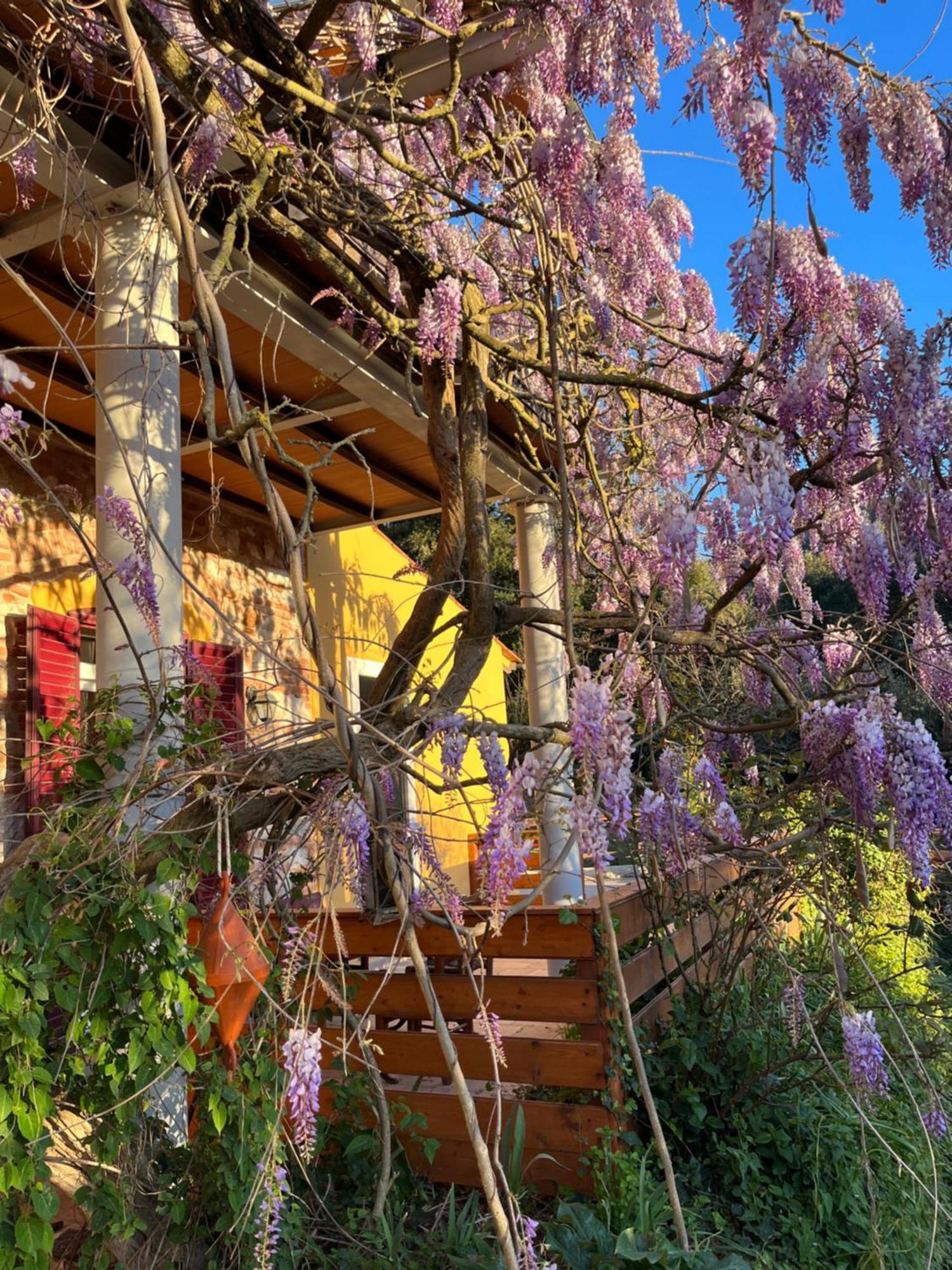 B&B La Fucinaia Pet Friendly Adults Only 캄필리아 마리티마 외부 사진